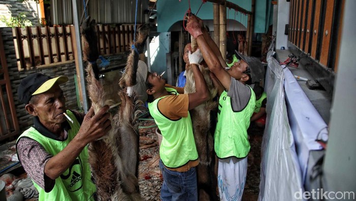 Umat Muslim memotong hewan kurban di Masjid Al Ishlah, Otista, Jatinegara, Jakarta Timur,  Kamis (29/6/2023).