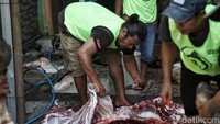 Dari sisi sejarah, perayaan Idul Adha ini membuat kita mengingat kembali kisah teladan Nabi Ibrahim AS beserta anaknya Nabi Ismail AS.  