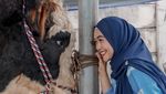 Momen Yu Brik Mai Hat Brik My Haff Ria Ricis dan Sapi Kurban