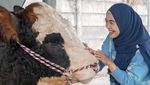 Momen Yu Brik Mai Hat Brik My Haff Ria Ricis dan Sapi Kurban