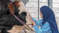 Di Instagram, Ria Ricis menuliskan pesan terakhirnya buat Hayabusa. Dimulai dengan plesetan lirik lagu Putri Ariani yang sedang viral di media sosial. (Foto: dok. Instagram Ria Ricis) 
