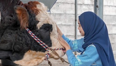Momen Yu Brik Mai Hat Brik My Haff Ria Ricis dan Sapi Kurban