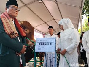 Gubernur Khofifah Serahkan Sapi Kurban Jokowi ke Masjid Al Akbar