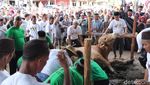 Tumpah Ruah Warga Bangka Tonton Penyembelihan Sapi Kurban Jokowi