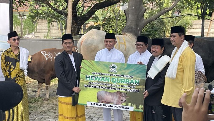 Sekjen Partai Golkar Lodewijk F Paulus berikan sapi kurban sumbangan dari Ketua Umum Partai Golkar Airlangga Hartarto kepada MUI Pusat, di Kantor DPP Partai Golkar.