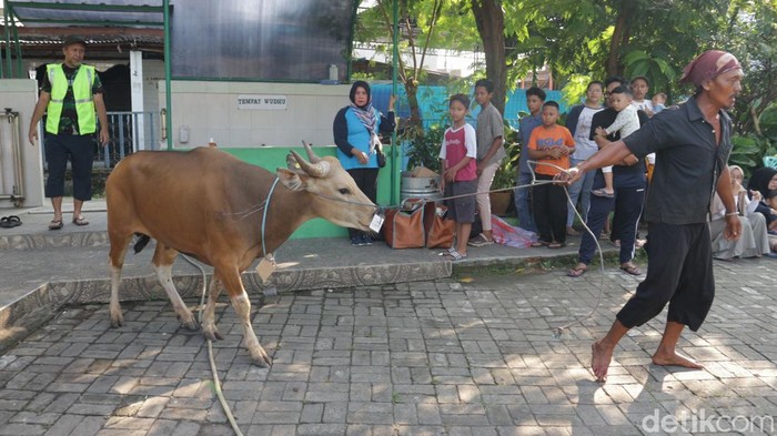 Umat Muslim di Bekasi Laksanakan Pemotongan Hewan Kurban Umat muslim melaksanakan pemotongan hewan kurban di Lapangan Mushola Al Amanah, Perumnas 3, Kota Bekasi, Jawa Barat, Kamis (29/6/2023).