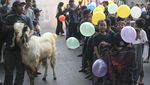 Unik, Tradisi Pawai Hewan Kurban di Malang