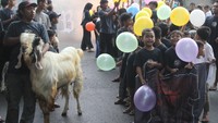 Tradisi tersebut dilakukan setiap tahun sebagai ungkapan syukur atas banyaknya hewan kurban yang mampu dikumpulkan pada Idul Adha sekaligus sebagai bentuk syiar. 