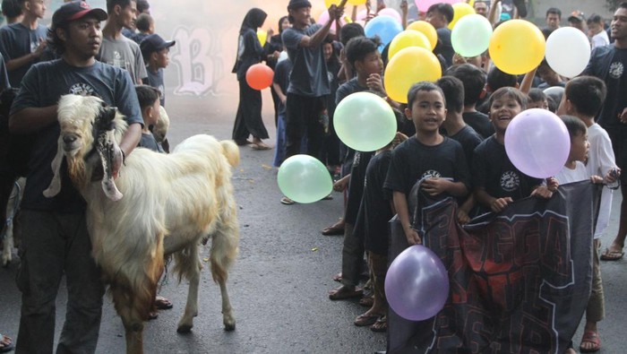 Sejumlah remaja masjid dan anak-anak mengikuti tradisi pawai hewan kurban di jalan Sukoharjo, Malang, Jawa Timur, Kamis (29/6/2023). Tradisi tersebut dilakukan setiap tahun sebagai ungkapan syukur atas banyaknya hewan kurban yang mampu dikumpulkan pada Idul Adha sekaligus sebagai bentuk syiar. ANTARA FOTO/Ari Bowo Sucipto/tom.