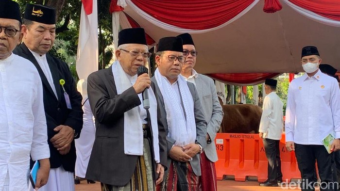 Wakil Presiden Maruf Amin. (Mulia Budi/detikcom)