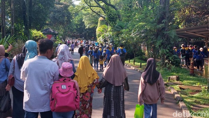 Warga Kunjungi Ragunan di Momen Libur Idul Adha