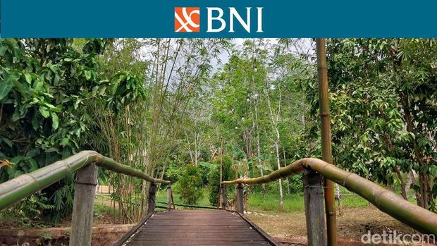 Wisata Alam Kiram Park di Kecamatan Karang Intan, Kabupaten Banjar, Kalimantan Selatan (Kalsel)