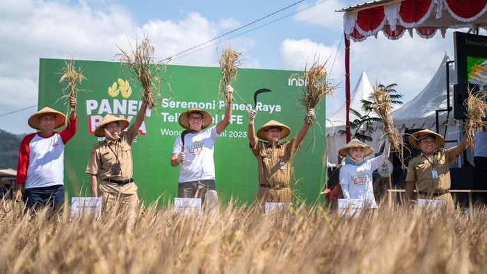 Anak perusahaan Telkomsel, INDICO