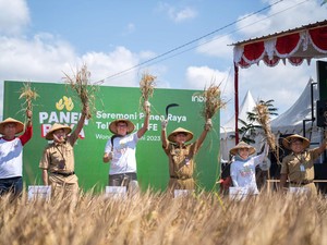 Petani di Wonogiri Panen 200 Ton Gabah Hasil Digitalisasi Pertanian