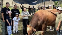 Keluarga Hermansyah itu juga sempat membagikan momen ketika menemui sapi kurbannya yang berada di Bogor. Foto: Youtube / The Hermansyah 