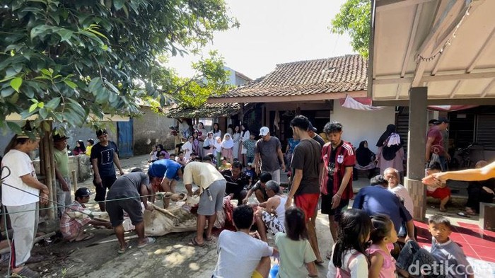 Antusias warga saat menyaksikan penyembelihan hewan kurban sapi di Sukabumi