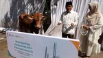 BSI Salurkan Ribuan Hewan Kurban ke Seluruh Indonesia