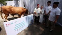 Direktur Utama BSI Hery Gunardi secara simbolis mendistribusikan 7.112 hewan kurban ke berbagai wilayah Indonesia.