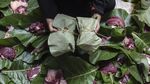 Keren, Ponpes di Tasik Gunakan Daun Jati untuk Bungkus Daging Kurban