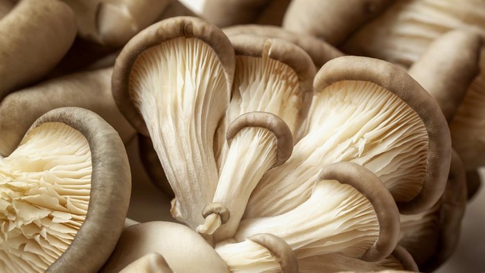 Menkeu AS Tak Sengaja Makan Jamur Halusinogen saat Berkunjung ke China