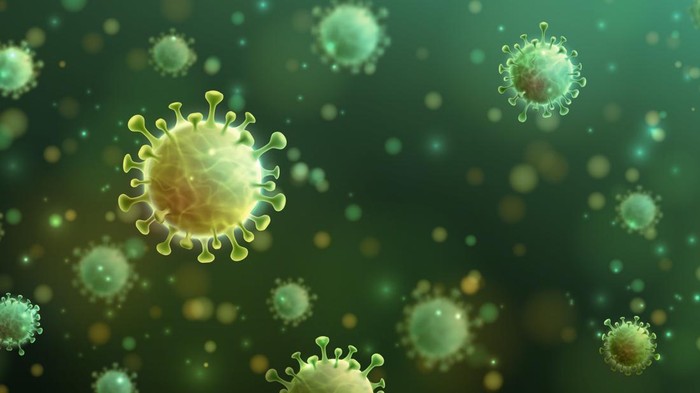 Hari Zoonosis Sedunia diperingati setiap 6 Juli. Tujuannya untuk mengedukasi masyarakat tentang zoonosis, penyakit dari hewan yang dapat menular ke manusia.