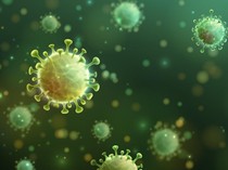 Hari Zoonosis Sedunia: Apa Itu dan Mengapa Diperingati 6 Juli?