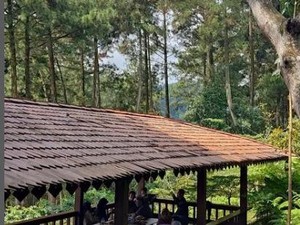5 Kafe Baru di Bogor yang Tak Jauh dari Tol Ini Cocok Buat Nongkrong