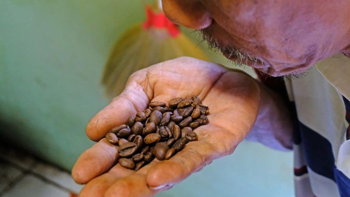 Pekerja memeriksa warna dan aroma kopi setelah proses sangrai di tempat jasa roasting kopi Dusun Limbangan, Larangan Luwok, Bejen, Temanggung, Jawa Tengah, Jumat  (30/6/2023)Selain melayani jasa sangrai kopi dengan harga Rp10 ribu per kilogra, di tempat tersebut juga menjual kopi Robusta bubuk dengan harga bervariasi dari Rp30 ribu-Rp50 ribu per 250 gram tergantung jenis dan proses pengolahan .  ANTARA FOTO/Anis Efizudin/rwa.