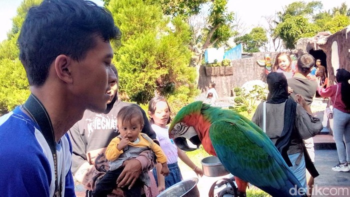 Pelancong saat datang ke mini zoo Kuningan