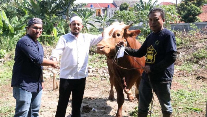 PLN Icon Plus, menyebar 1.100 paket daging kurban. Paket daging kurban ini diberikan kepada warga yang berada di sekitar area operasional PLN Icon Plus.