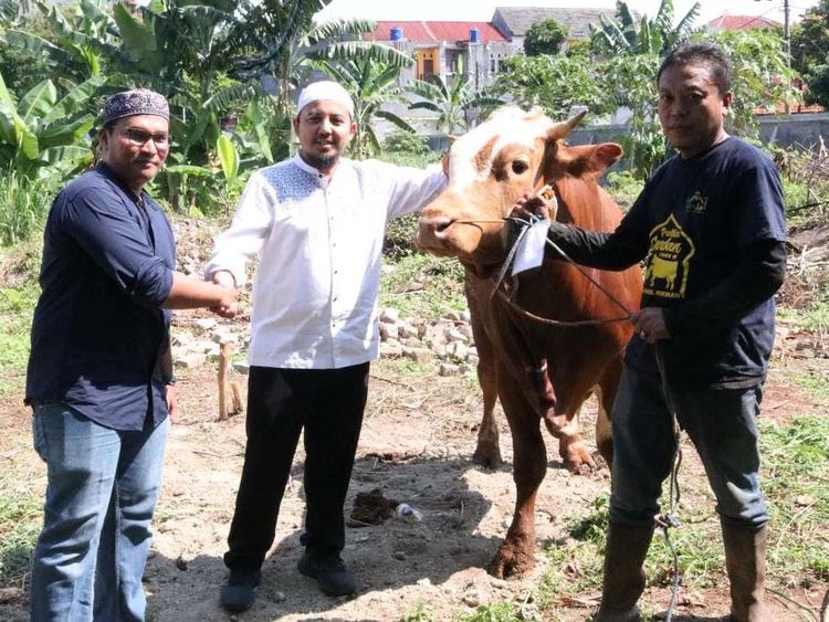 PLN Icon Plus Sebar 1.100 Paket Daging Kurban