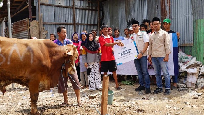 PLN tebar hewan kurban ke pelosok Indonesia.