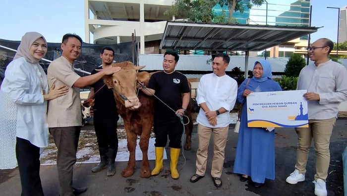 Potong Kurban untuk Masyarakat Sekitar PT Jamkrindo berbagi kebahagian di momen Hari Raya Iduladha 1444 H dengan membagikan daging kurban kepada masyarakat di sekitar kantor.