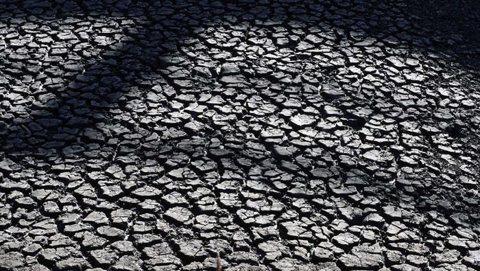 Potret Keringnya Waduk Canelon Grande Uruguay Waduk Canelon Grande di Canelones, Uruguay, mengering, Kamis (29/6) waktu setempat. Kekeringan itu disebabkan oleh minimnya curah hujan di Uruguay.