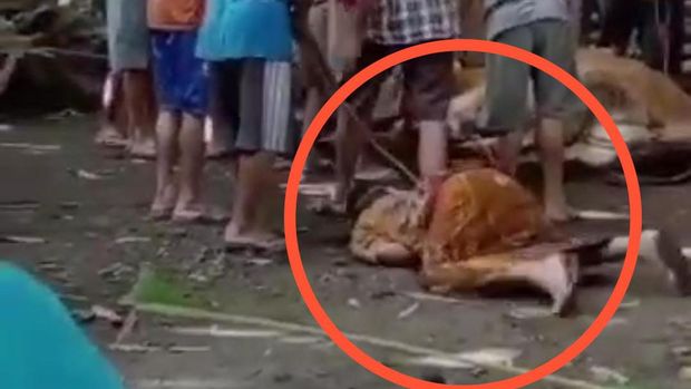 Pria tua meninggal mendadak Jember