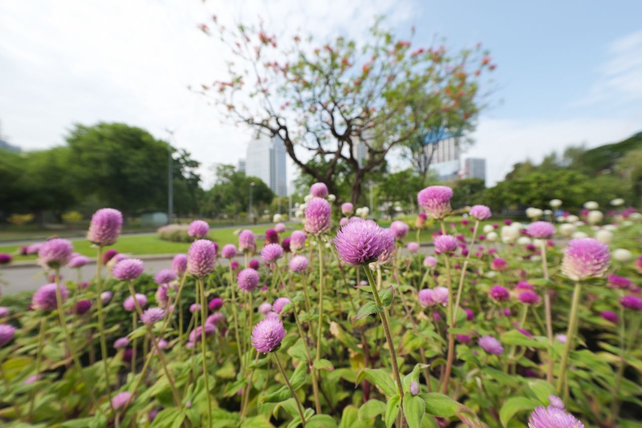 Review Lensa Ultra Lebar Fujifilm 8mm