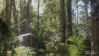 Jalur Pendakian Gunung Tujuh