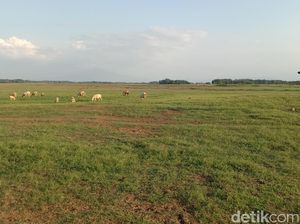 Manfaat Lain Waduk Cipancuh Bagi Kehidupan Warga Indramayu