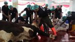 Masjid Istiqlal Sembelih 43 Ekor Sapi dan 8 Ekor Kambing