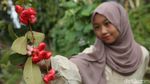 Aktivitas Homeschooling Mengasyikan di Sekolah Merdeka Belajar