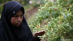 Aktivitas Homeschooling Mengasyikan di Sekolah Merdeka Belajar