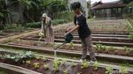 Aktivitas Homeschooling Mengasyikan di Sekolah Merdeka Belajar
