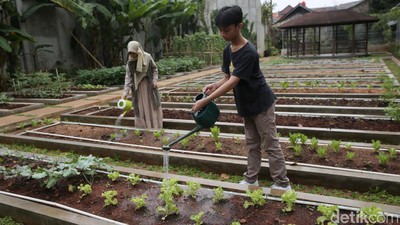 Aktivitas Homeschooling Mengasyikan di Sekolah Merdeka Belajar