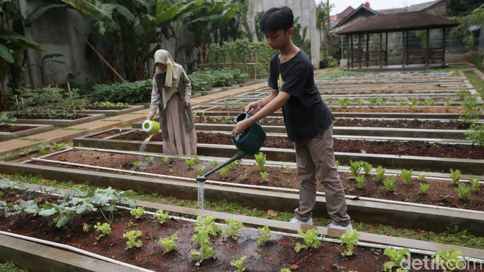 Sekolah Merdeka Belajar Persada menciptakan suasana belajar yang gembira dan berkualitas demi mangasah kemampuan dan belajar aneka life skills.