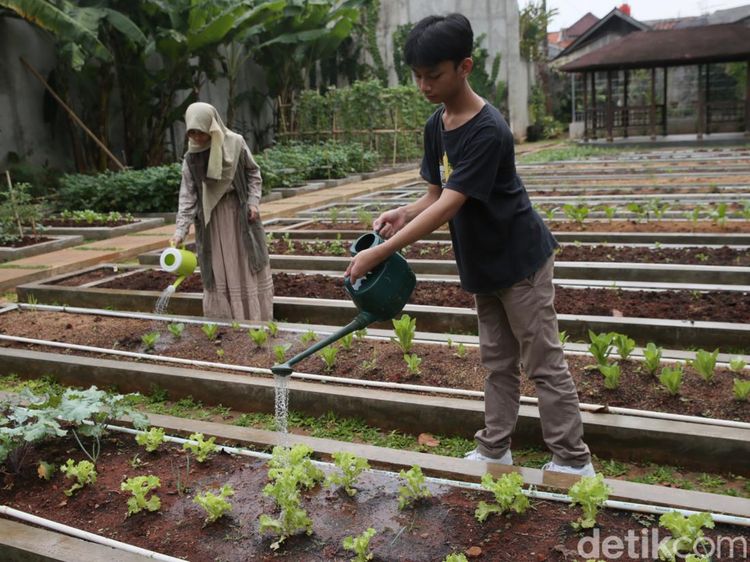 Aktivitas Homeschooling Mengasyikan di Sekolah Merdeka Belajar