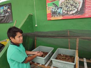 Banyuwangi Hijau, Usaha Sekolah Olah Sampah Berkelanjutan dan Mandiri