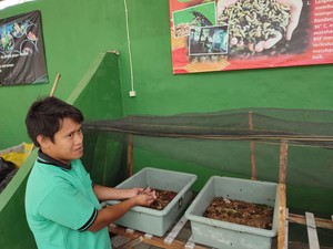 Banyuwangi Hijau, Usaha Sekolah Olah Sampah Berkelanjutan dan Mandiri