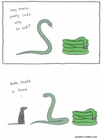 Seorang kartunis asal Amerika, Liz Climo, membuat ilustrasi binatang yang menggemaskan. Ia membuat komik, dengan membayangkan bagaimana para hewan berinteraksi sehari-harinya.