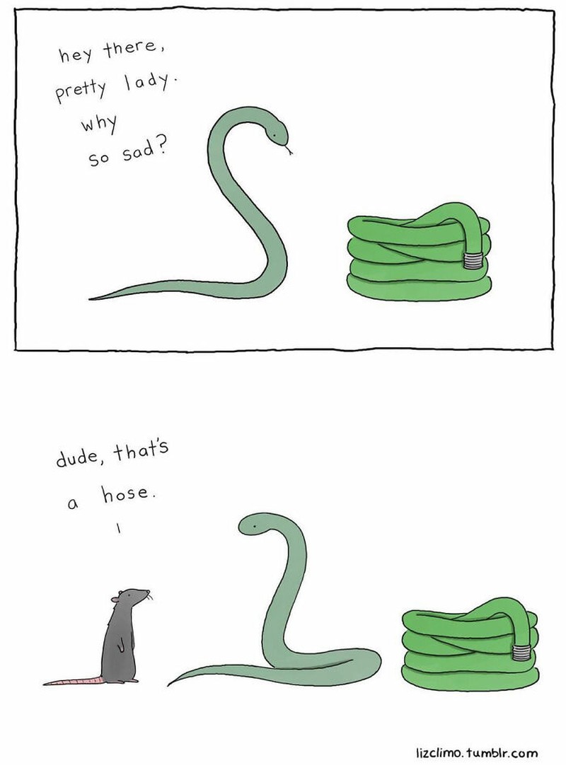 Seorang kartunis asal Amerika, Liz Climo, membuat ilustrasi binatang yang menggemaskan. Ia membuat komik, dengan membayangkan bagaimana para hewan berinteraksi sehari-harinya.