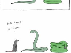 Kalau Bisa Ngomong, Mungkin Percakapan Antar Hewan Seperti Ini